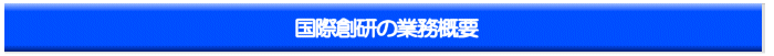 国際創研の業務概要