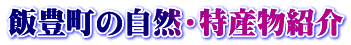 飯豊町の自然・特産物紹介