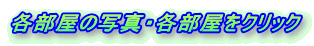 e̎ʐ^EeNbN