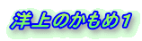 m̂߂P